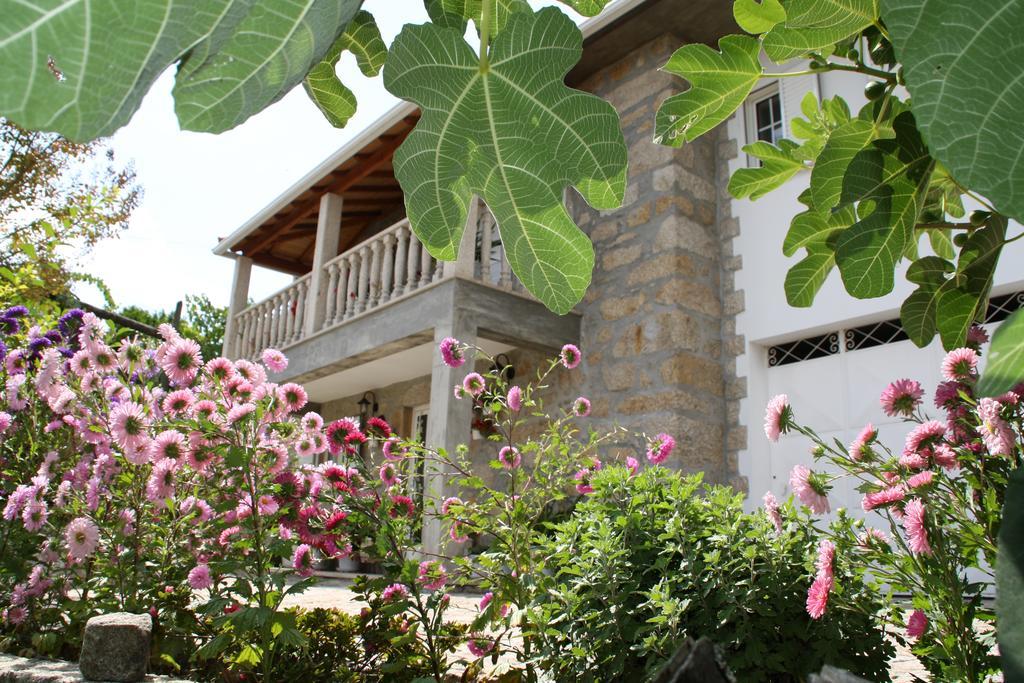 Castelo Dos Sonhos Hotel Valadares  Bagian luar foto